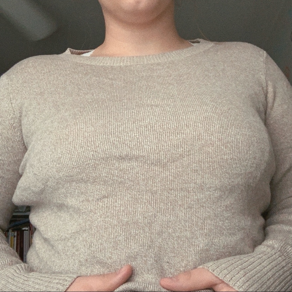 Women’s Express Fitted Sweater